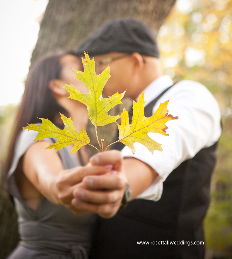 Kensington Market Engagement