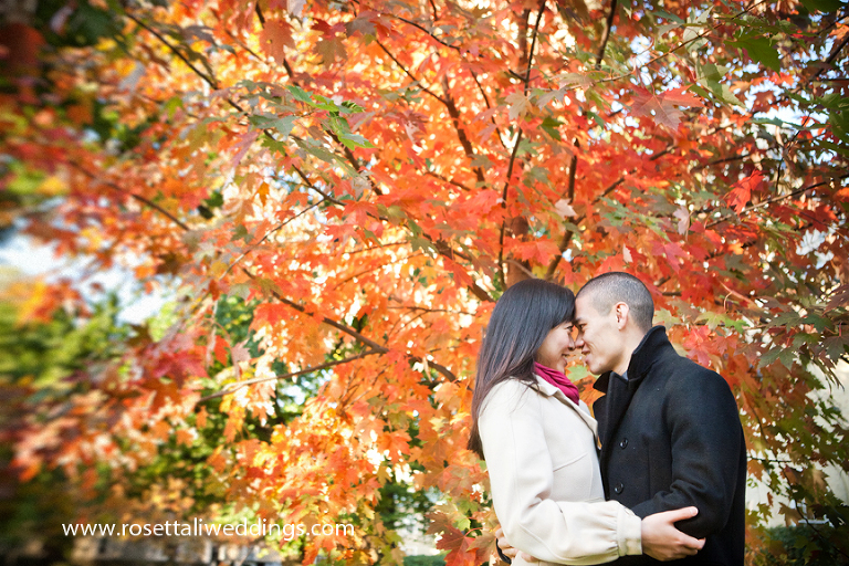 University of Toronto U of T Pre Wedding