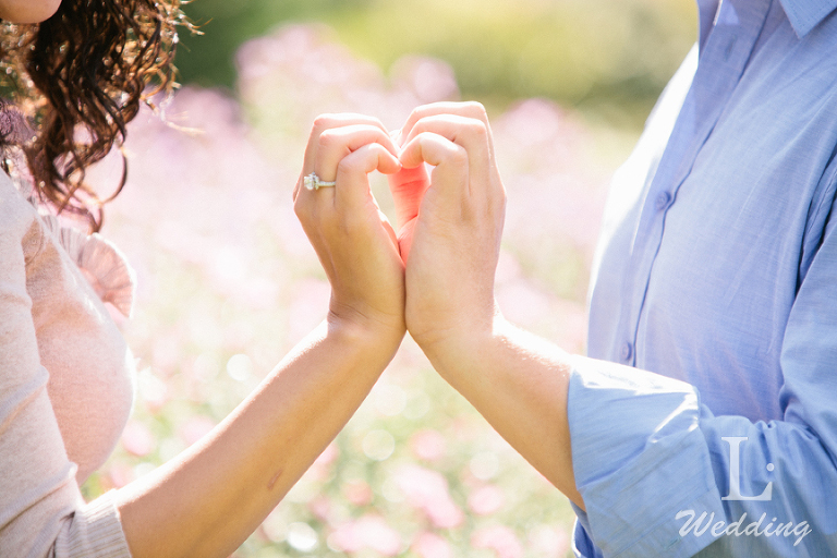 High Park Pre Wedding Engagement Toronto