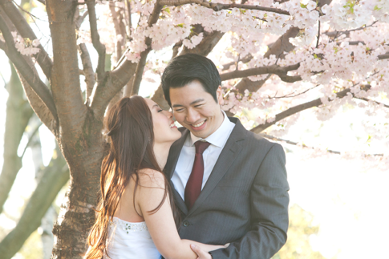cherry blossom high park pre wedding engagement