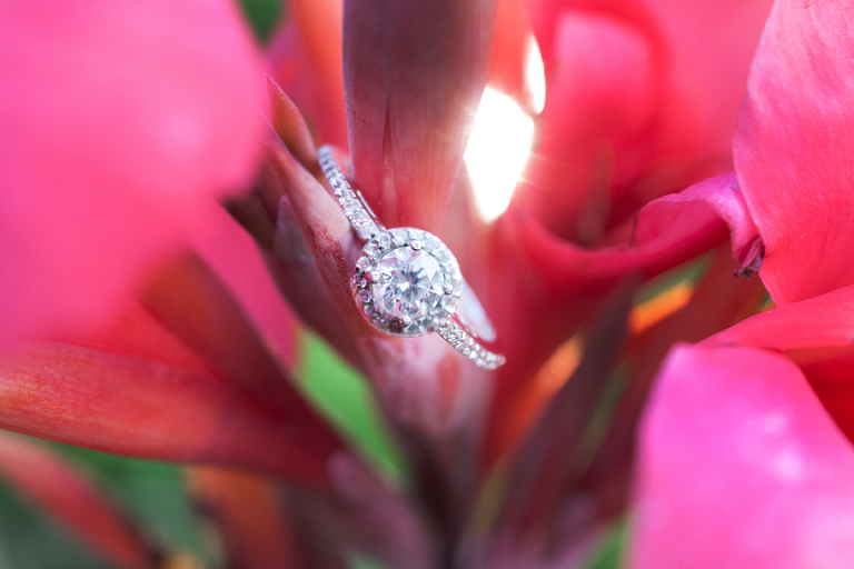 Guildwood Park Toronto pre wedding engagement