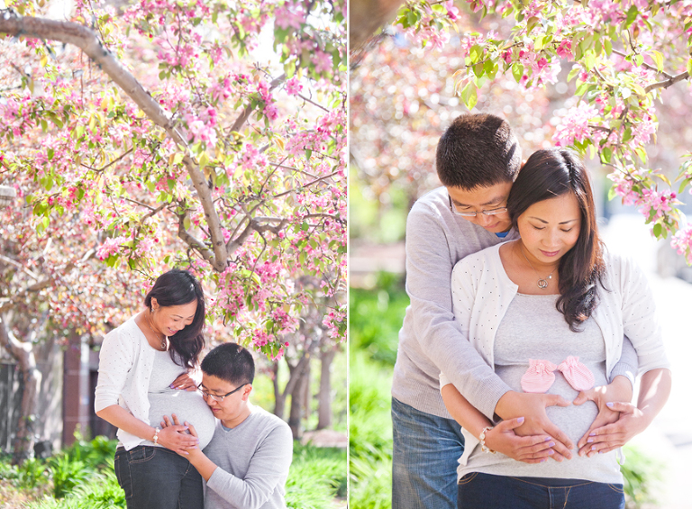 high park cherry blossom maternity session toronto