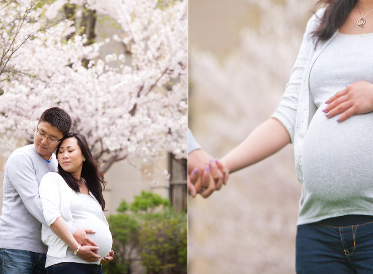 high park cherry blossom maternity session toronto