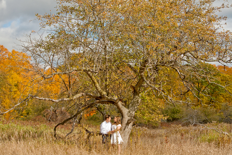 oakville engagement