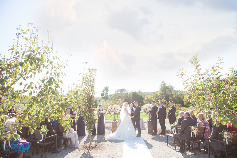 hockley valley resort wedding